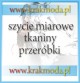 Ogłoszenie darmowe. Lokalizacja:  Kraków. ARCHIWALNE - Wszystkie. Zakład Krawiecki Kraków  Skracanie ,.