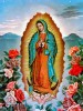 Ogłoszenie darmowe. Lokalizacja:  the whole world!. ARCHIVES - All. OUR LADY OF GUADALUPE [Feast.